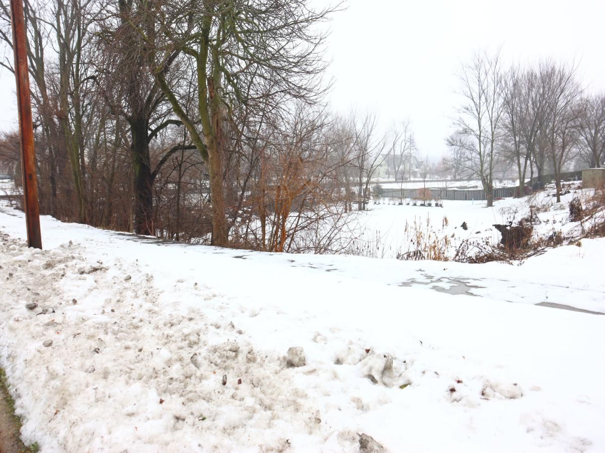 MLS #MRD11968563 image #4