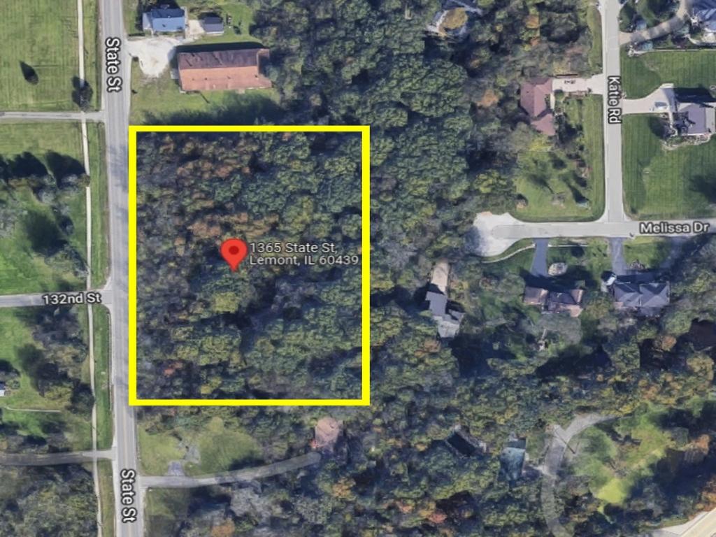 1365 STATE Street Lemont IL 60439 MLS #MRD12002545 37 MLS #MRD12002545 image #0