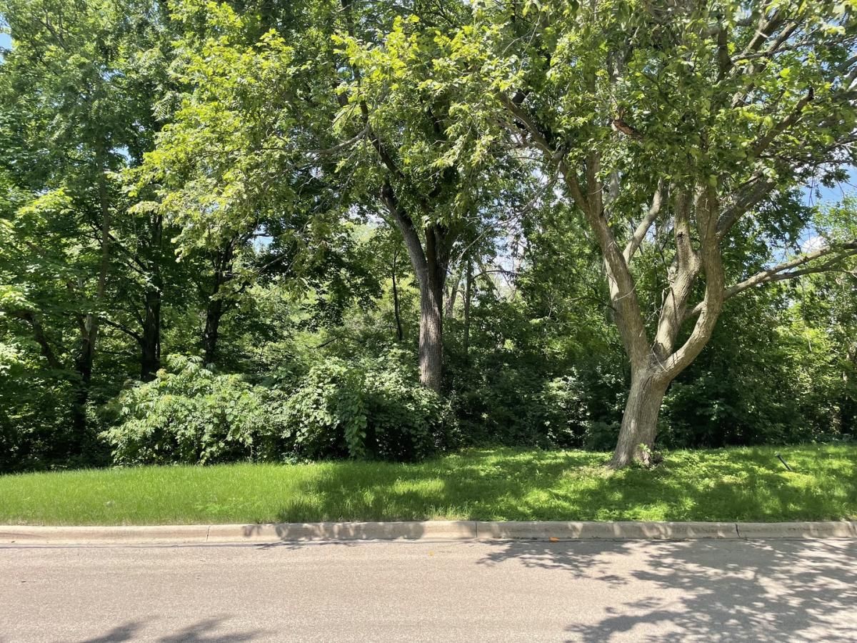 Lot 4 Manchester Avenue Batavia IL 60510 MLS #MRD12028688 13 MLS #MRD12028688 image #0