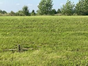 MLS #MRD12041564 image #5