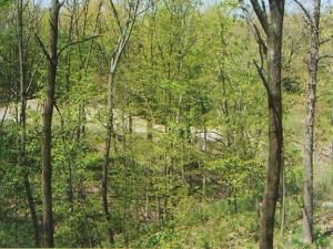674 Oak Court Marseilles IL 61341 MLS #MRD12096035 29 MLS #MRD12096035 image #0