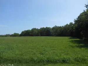 1292 W Normantown Road Romeoville IL 60446 MLS #MRD10941375 44 broker reciprocity