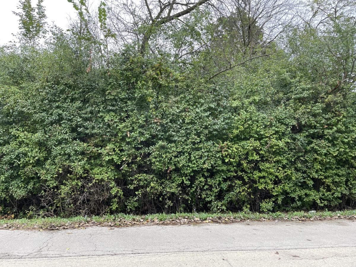 000 Redbud Drive Joliet IL 60433 MLS #MRD12176074 41 MLS #MRD12176074 image #0