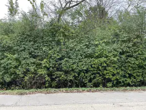 707 E Henry Street Joliet IL 60433 MLS #MRD12382187 52 broker reciprocity