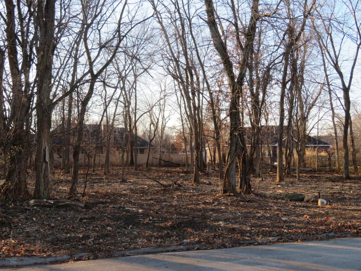 Lot 58 Timber Edge Drive Morris IL 60450 MLS #MRD12179024 41 MLS #MRD12179024 image #0