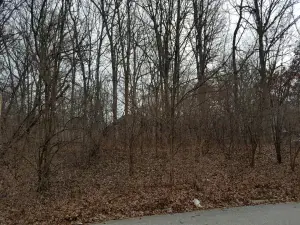 2443 Plainfield Road Joliet IL 60435 MLS #MRD12368123 42 broker reciprocity