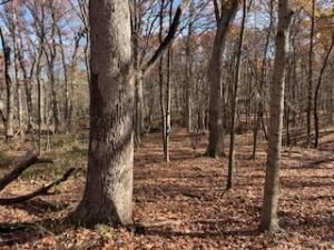 2096 Wolpers Road Crete IL 60417 MLS #MRD12207380 37 MLS #MRD12207380 image #0