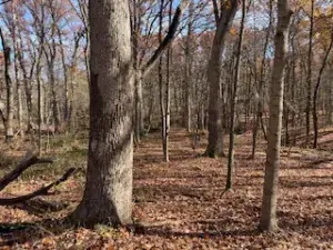 22300 KARLOV Avenue Richton Park IL 60471 MLS #MRD12213032 40 broker reciprocity