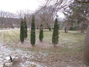 228 Crissey Avenue Geneva IL 60134 MLS #MRD12210822 9 MLS #MRD12210822 image #0