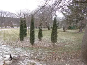 2613-2633 N Cicero Avenue Chicago IL 60639 MLS #MRD12378868 28 broker reciprocity