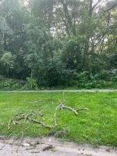 13536 Central Park Avenue Robbins IL 60472 MLS #MRD12219268 17 MLS #MRD12219268 image #0