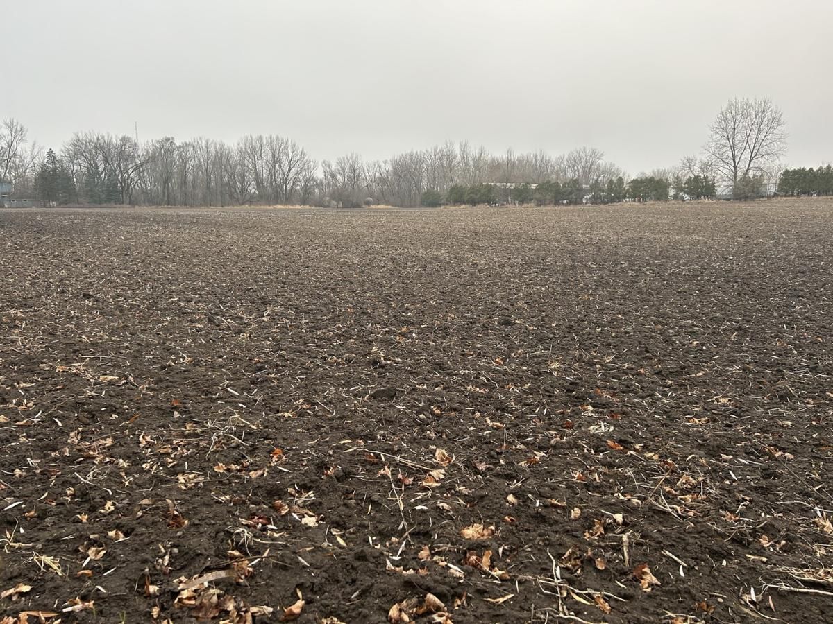 Lot 499001 Galligan Road Gilberts IL 60136 MLS #MRD12255671 47 MLS #MRD12255671 image #0