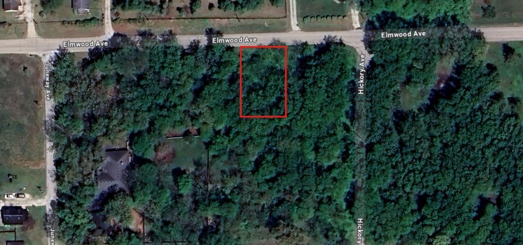 8 W Elmwood Avenue Wilmington IL 60481 MLS #MRD12258366 41 MLS #MRD12258366 image #0