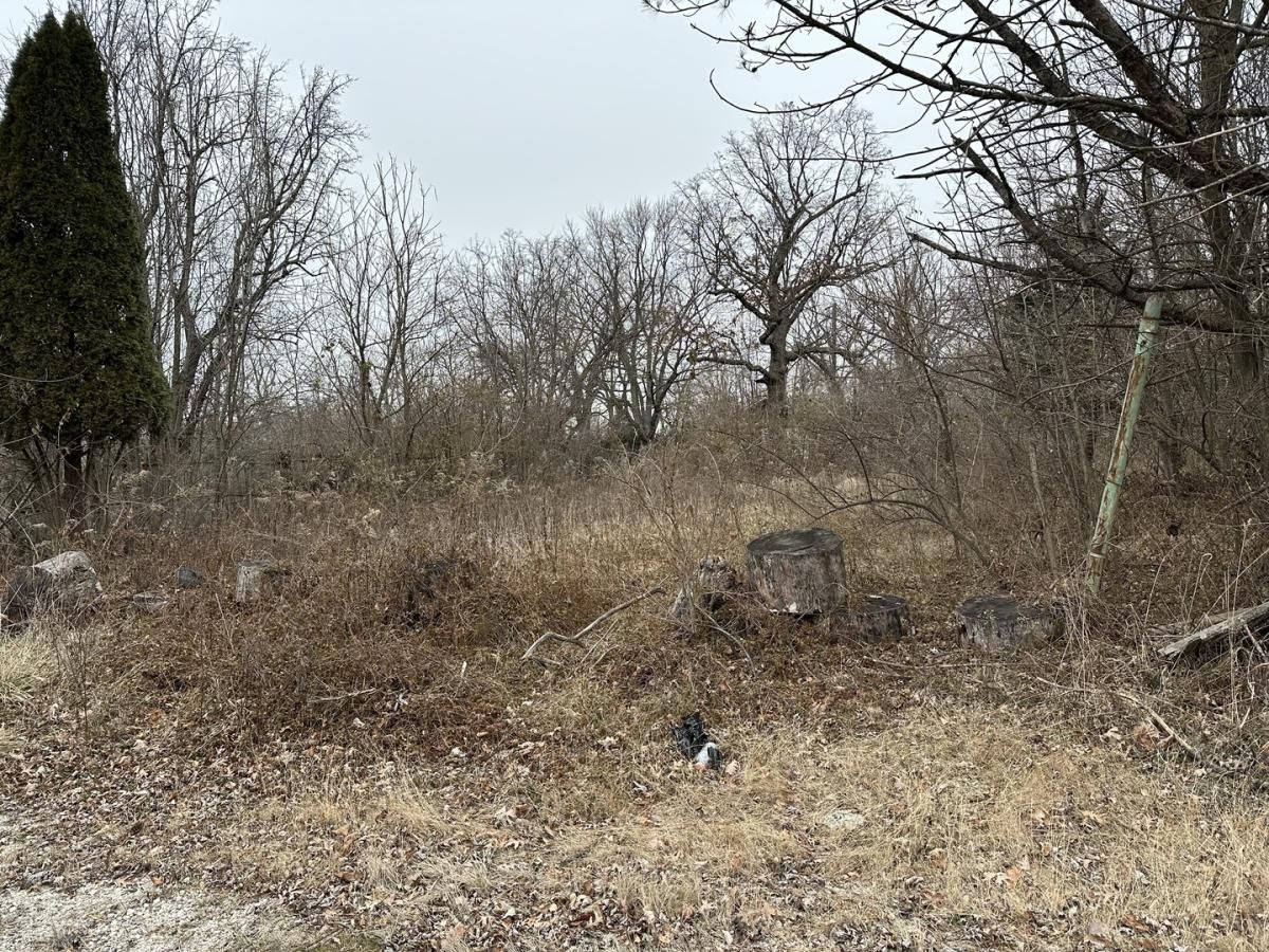 509 Oxford Place Lockport IL 60441 MLS #MRD12259477 41 MLS #MRD12259477 image #0