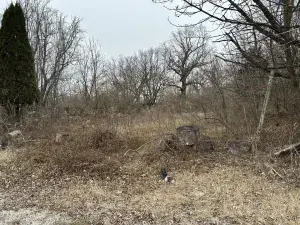 000 Redbud Drive Joliet IL 60433 MLS #MRD12176074 58 broker reciprocity