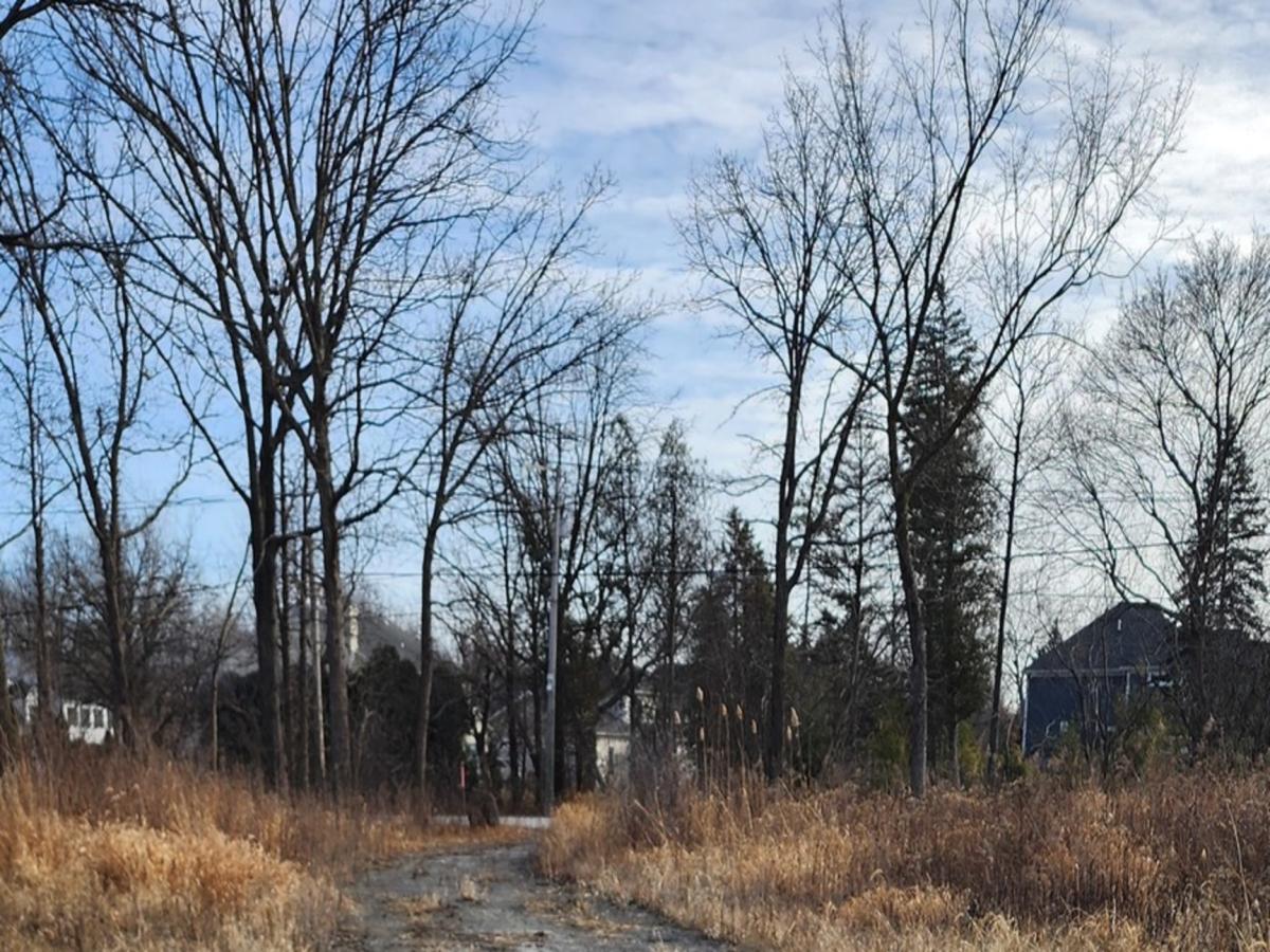 MLS #MRD12286494 image #0