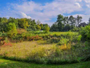 4507 Red Tail Lane Johnsburg IL 60051 MLS #MRD12276273 46 broker reciprocity