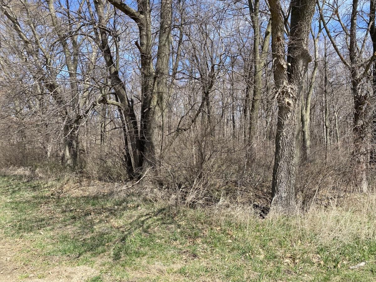 MLS #MRD12291196 image #0