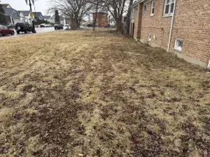 4032 East Avenue Stickney IL 60402 MLS #MRD12258294 52 broker reciprocity