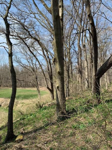 Winterbottom Road Morris IL 60450 MLS #MRD12312996 9 MLS #MRD12312996 image #0