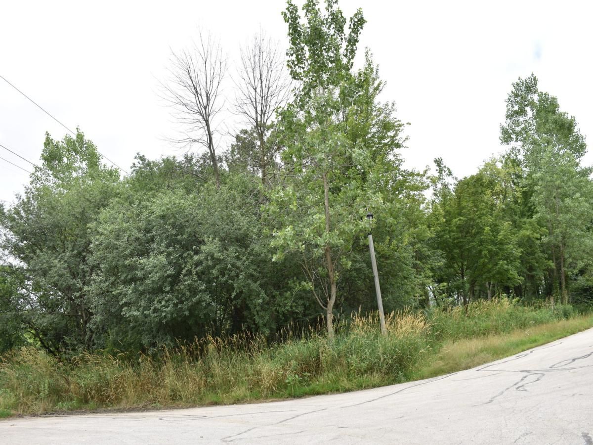 11665 Orchard Road Willow Springs IL 60480 MLS #MRD12315149 37 MLS #MRD12315149 image #0