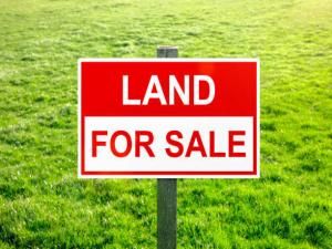 911 Johnson Street Fox River Grove IL 60021 MLS #MRD12324264 83 MLS #MRD12324264 image #0