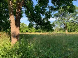 95 Lots Chestnut Grove Cortland IL 60112 MLS #MRD12472577 55 broker reciprocity