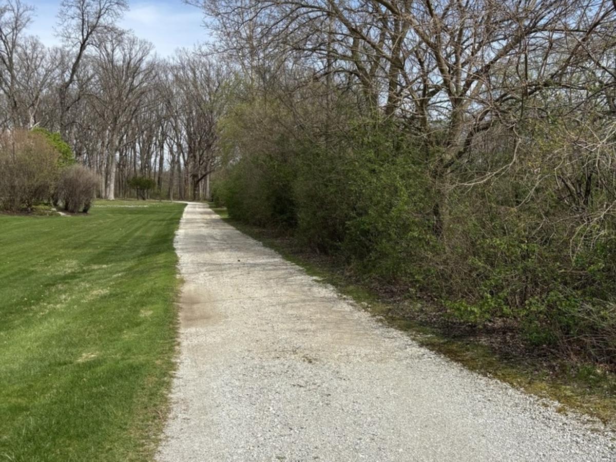 258 S Root Drive Crete IL 60417 MLS #MRD12353137 21 MLS #MRD12353137 image #0