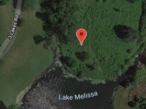 Lot 26 Three Lakes Road Barrington Hills IL 60010 MLS #MRD12361507 41 MLS #MRD12361507 image #0