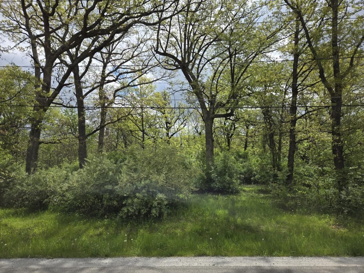 MLS #MRD12364908 image #0