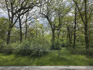 1001 S Campbell Avenue Chicago IL 60612 MLS #MRD12197556 58 broker reciprocity