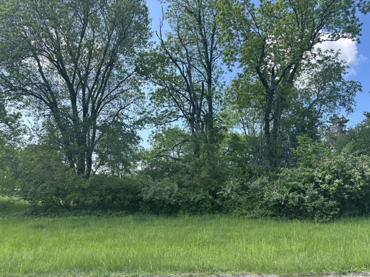 MLS #MRD12365030 image #0