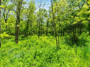 427 E Il Route 83 Mundelein IL 60060 MLS #MRD12318220 42 broker reciprocity