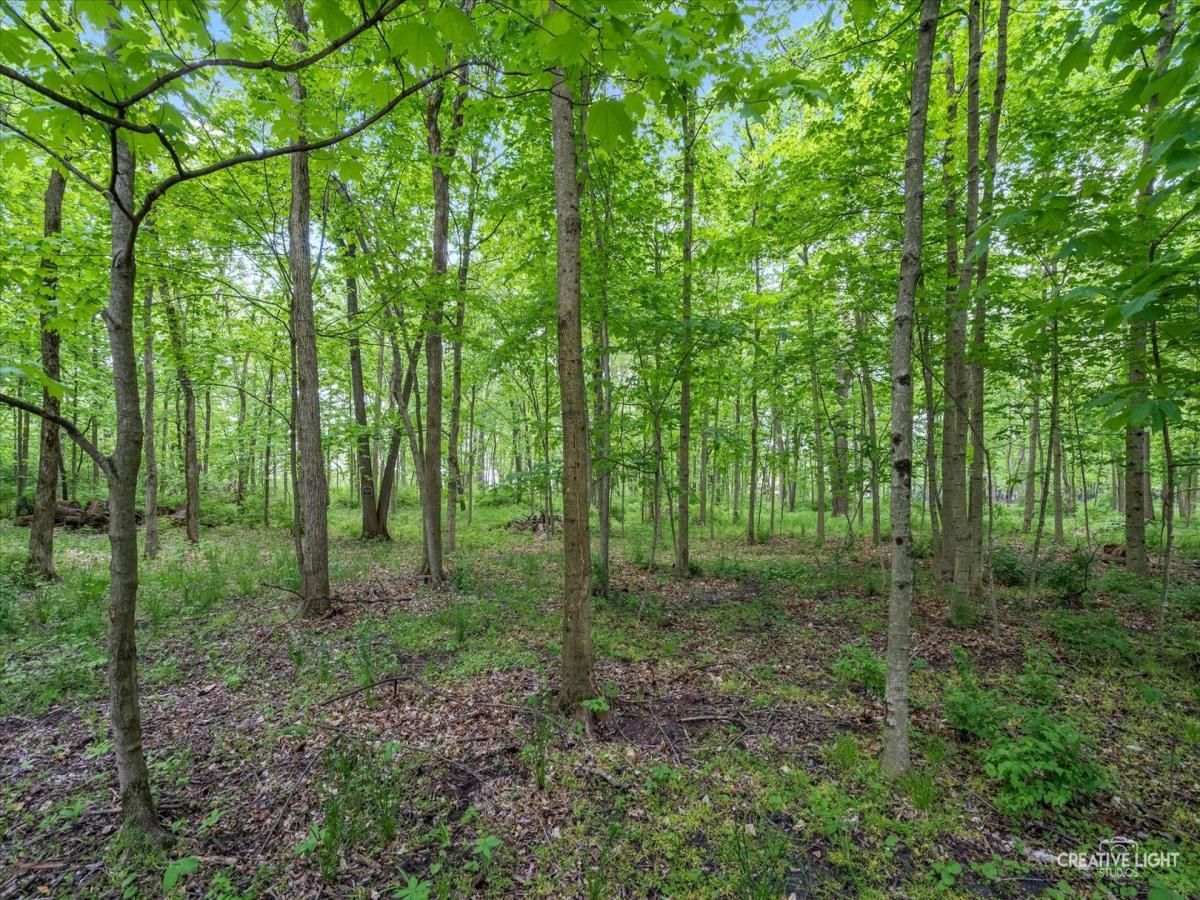 7369 Roberts Drive Oswego IL 60543 MLS #MRD12368271 29 MLS #MRD12368271 image #0