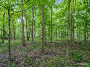 22604 Prairie Crossing Plainfield IL 60544 MLS #MRD12451866 44 broker reciprocity