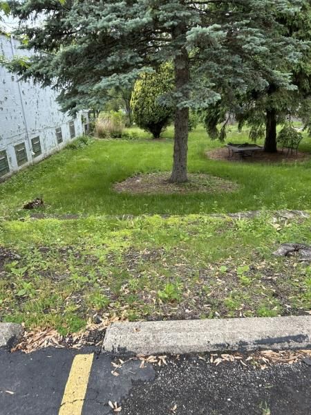 8422 Archer Avenue Willow Springs IL 60480 MLS #MRD12368492 17 MLS #MRD12368492 image #0