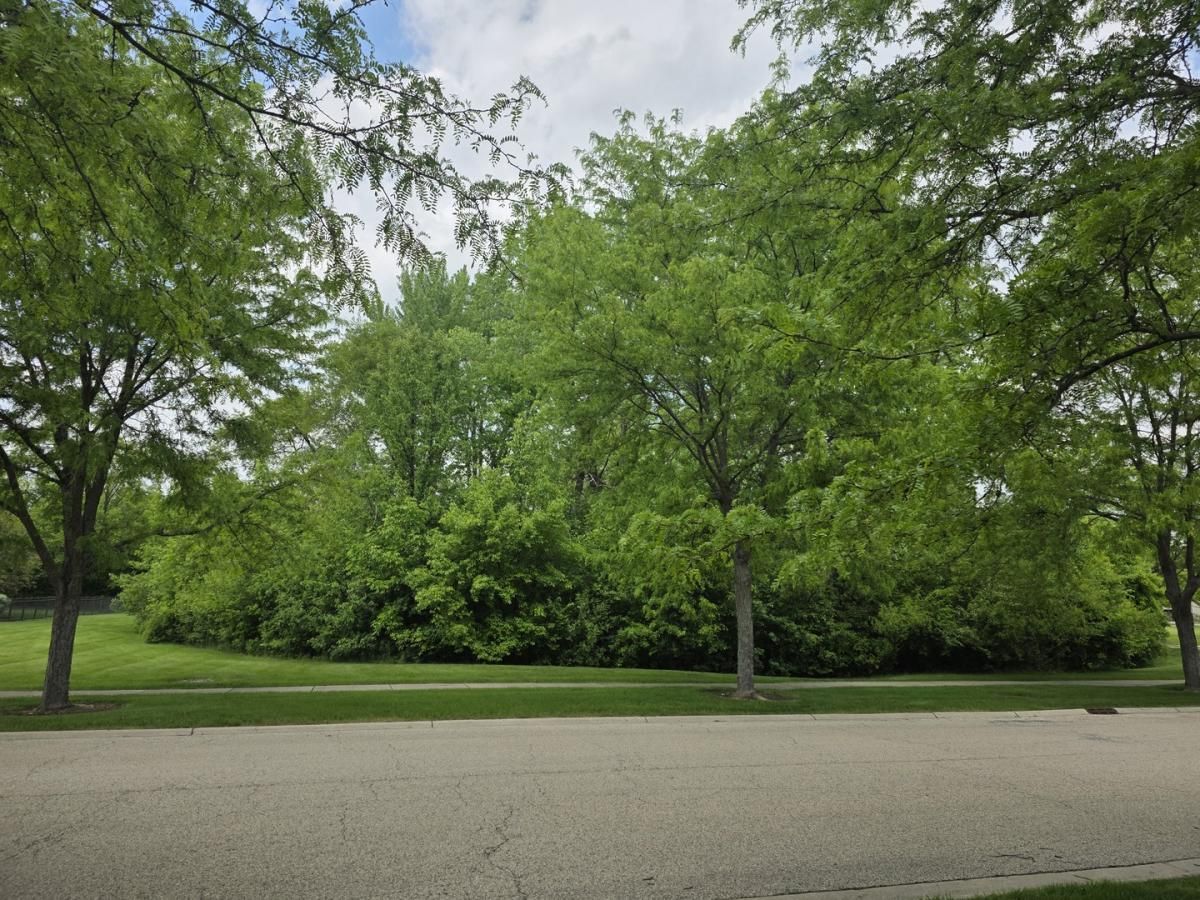 1074 - 1078 Sante Fe Stre Street Bartlett IL 60103 MLS #MRD12371651 37 MLS #MRD12371651 image #0