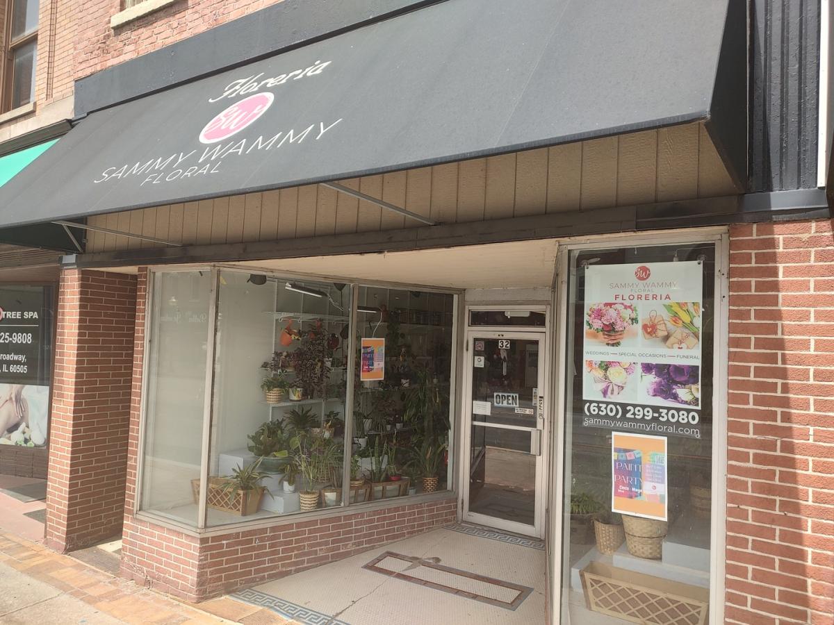 32 N Broadway Avenue Aurora IL 60505 MLS #MRD12372044 45 MLS #MRD12372044 image #0