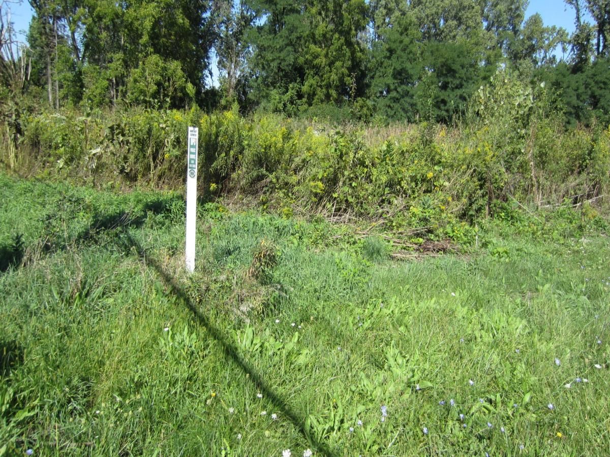 Lot 1, 2, 3, 4 & 5 Nantucket Drive Darien IL 60561 MLS #MRD12385102 41 MLS #MRD12385102 image #0