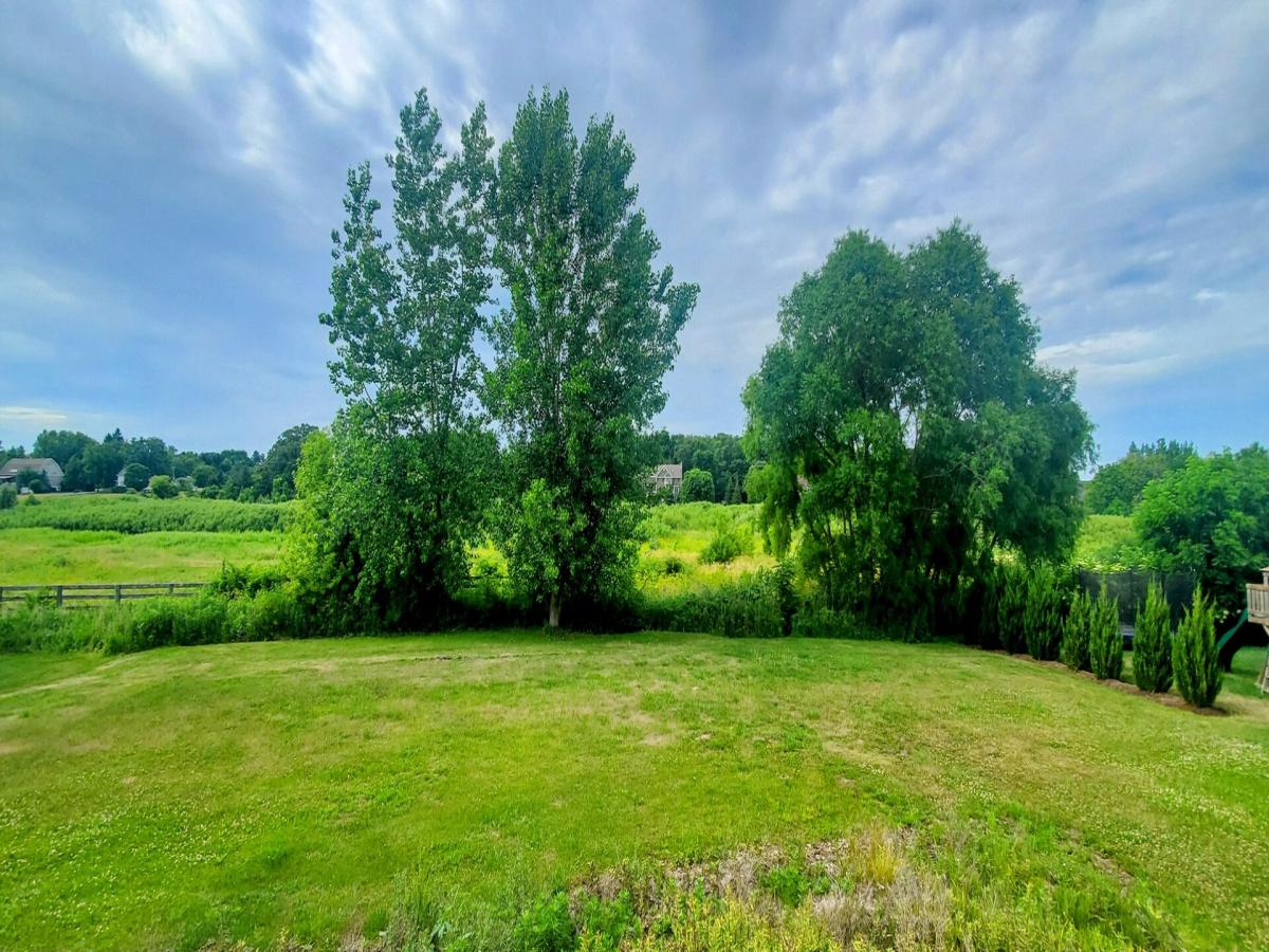 4378 John Milton Road Elgin IL 60124 MLS #MRD12403475 25 MLS #MRD12403475 image #0