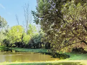 850 Gage Lane Lake Forest IL 60045 MLS #MRD12377502 58 broker reciprocity