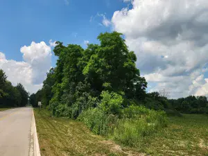 26129 S Cambridge Drive Crete IL 60417 MLS #MRD12080799 48 broker reciprocity