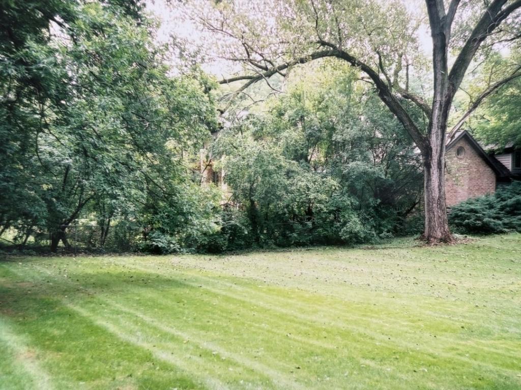 2007 Ohio Street Lisle IL 60532 MLS #MRD12407722 41 MLS #MRD12407722 image #0