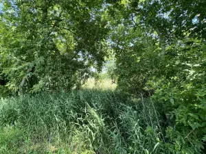 37598 N US Highway 12 Spring Grove IL 60081 MLS #MRD12075962 44 broker reciprocity