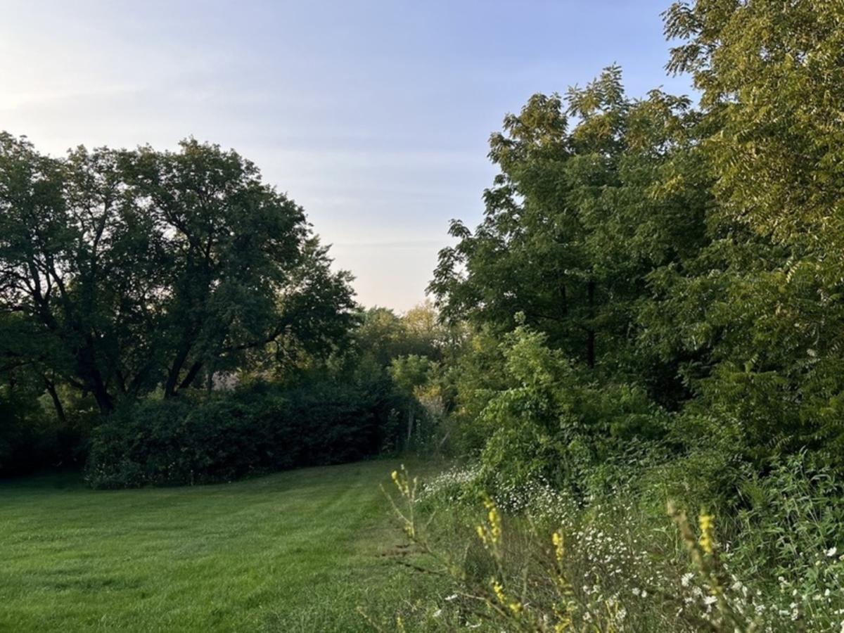 650 George Street Barrington IL 60010 MLS #MRD12415728 33 MLS #MRD12415728 image #0