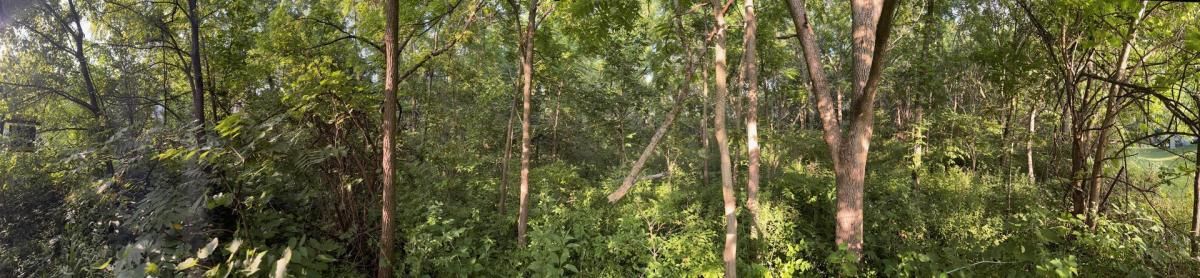 9N Merryoaks Road Streamwood IL 60107 MLS #MRD12418590 37 MLS #MRD12418590 image #0