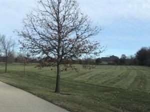 14916 W Concord Court Wadsworth IL 60083 MLS #MRD12421100 41 MLS #MRD12421100 image #0