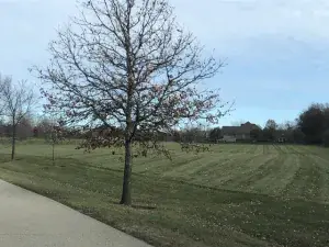 4437-4495 W Kennedy Drive Gurnee IL 60031 MLS #MRD12455857 56 broker reciprocity