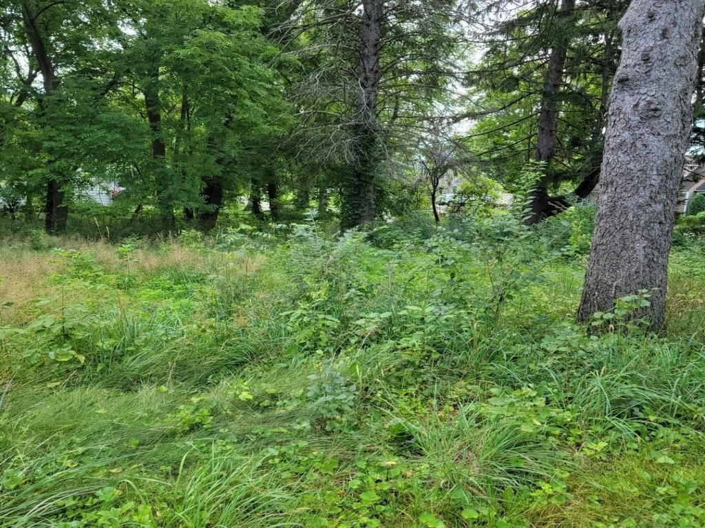 25570 W High Street Wauconda IL 60084 MLS #MRD12425947 45 MLS #MRD12425947 image #0