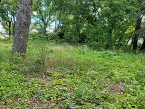 26642 N Il Route 83 Mundelein IL 60060 MLS #MRD12464576 40 broker reciprocity